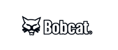 Bobcat