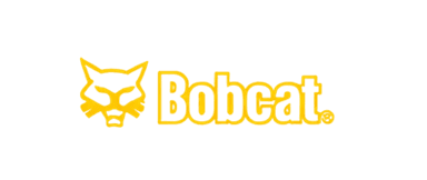 Bobcat